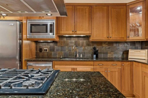 202-505 Spring Creek Drive, Canmore, AB - Indoor Photo Showing Kitchen With Double Sink