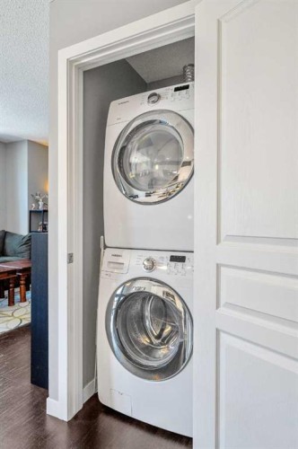 903-881 Sage Valley Boulevard, Calgary, AB - Indoor Photo Showing Laundry Room