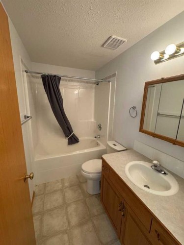 22 Julia Place, Didsbury, AB - Indoor Photo Showing Bathroom
