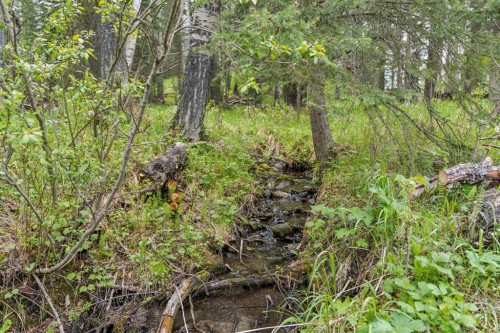 231028 Forestry Way, Rural Rocky View County, AB 