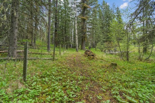 231028 Forestry Way, Rural Rocky View County, AB 