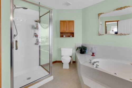 4 Hamptons Heath Nw, Calgary, AB - Indoor Photo Showing Bathroom