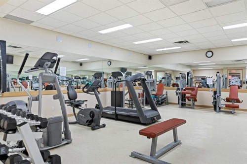 902-145 Point Drive Nw, Calgary, AB - Indoor Photo Showing Gym Room