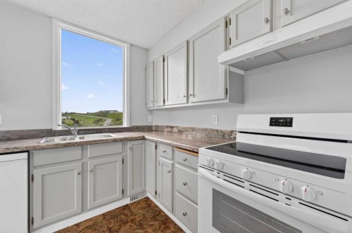 902-145 Point Drive Nw, Calgary, AB - Indoor Photo Showing Kitchen With Double Sink