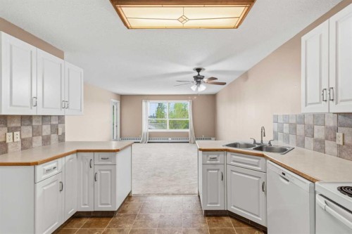 307-105 7 Avenue Se, High River, AB - Indoor Photo Showing Kitchen With Double Sink