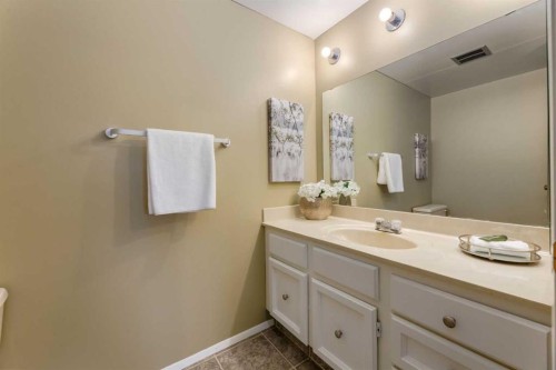 10-3302 50 Street Nw, Calgary, AB - Indoor Photo Showing Bathroom