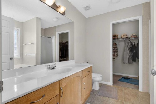 156 Saddlecrest Park Ne, Calgary, AB - Indoor Photo Showing Bathroom