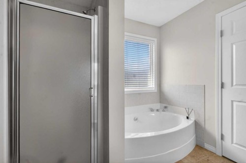 156 Saddlecrest Park Ne, Calgary, AB - Indoor Photo Showing Bathroom
