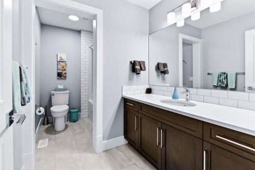 219 Legacy Mount Se, Calgary, AB - Indoor Photo Showing Bathroom