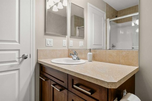 249 Elgin Meadows Park Se, Calgary, AB - Indoor Photo Showing Bathroom