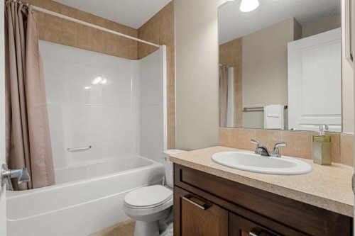 249 Elgin Meadows Park Se, Calgary, AB - Indoor Photo Showing Bathroom