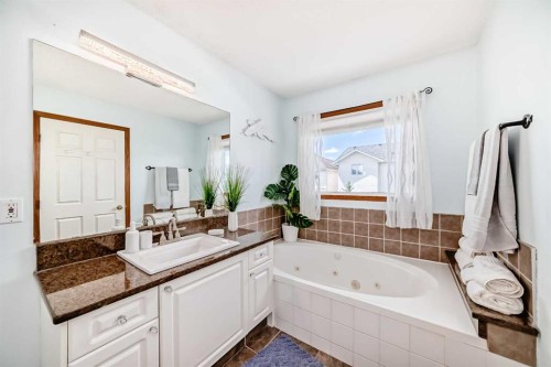 263 Coral Keys Drive Ne, Calgary, AB - Indoor Photo Showing Bathroom