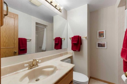 23 Millside Place Sw, Calgary, AB - Indoor Photo Showing Bathroom