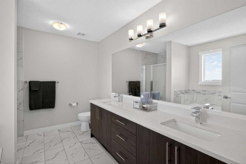 42 Baysprings Way Sw, Airdrie, AB - Indoor Photo Showing Bathroom