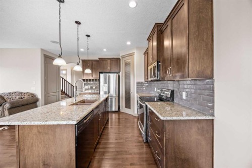 282 Pantego Terrace Nw, Calgary, AB - Indoor Photo Showing Kitchen With Double Sink With Upgraded Kitchen