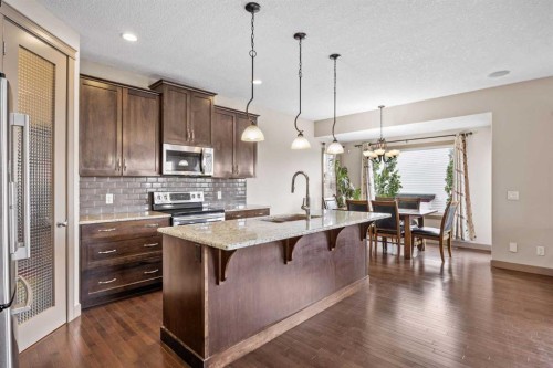 282 Pantego Terrace Nw, Calgary, AB - Indoor Photo Showing Kitchen With Upgraded Kitchen