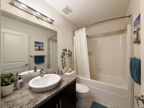 217 West Creek Circle, Chestermere, AB 