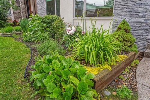 1734 37 Avenue Sw, Calgary, AB 