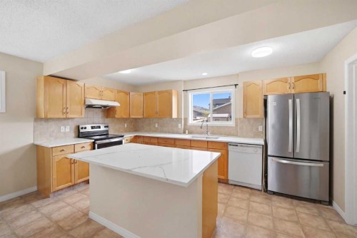 35 Saddlebrook Link Ne, Calgary, AB - Indoor Photo Showing Kitchen With Stainless Steel Kitchen