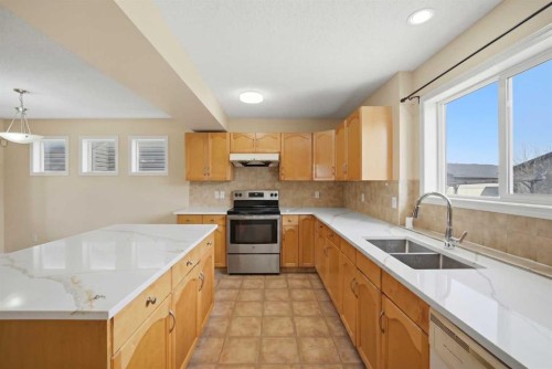 35 Saddlebrook Link Ne, Calgary, AB - Indoor Photo Showing Kitchen With Stainless Steel Kitchen With Double Sink With Upgraded Kitchen