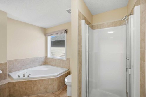 35 Saddlebrook Link Ne, Calgary, AB - Indoor Photo Showing Bathroom