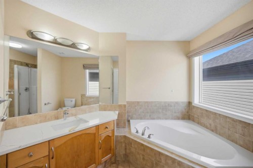 35 Saddlebrook Link Ne, Calgary, AB - Indoor Photo Showing Bathroom