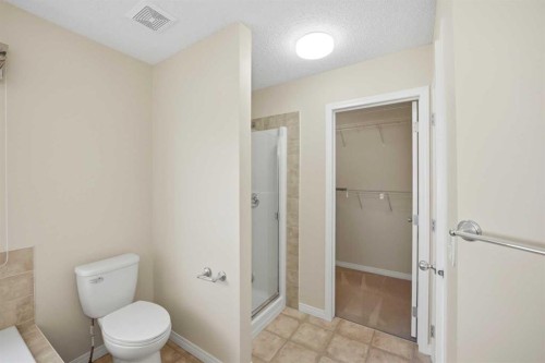 35 Saddlebrook Link Ne, Calgary, AB - Indoor Photo Showing Bathroom