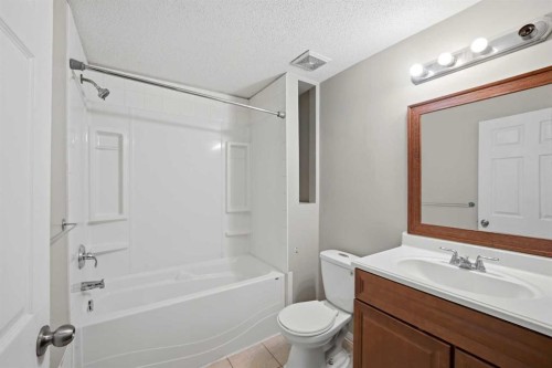 35 Saddlebrook Link Ne, Calgary, AB - Indoor Photo Showing Bathroom