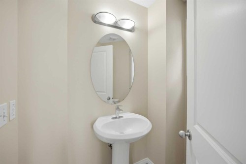 35 Saddlebrook Link Ne, Calgary, AB - Indoor Photo Showing Bathroom