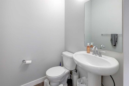5 Williamstown Park Nw, Airdrie, AB - Indoor Photo Showing Bathroom