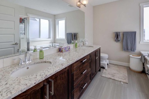 5 Williamstown Park Nw, Airdrie, AB - Indoor Photo Showing Bathroom