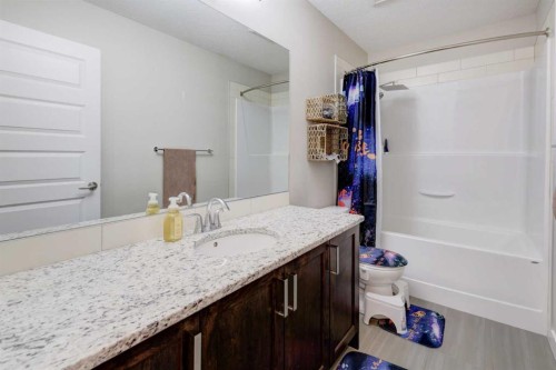 5 Williamstown Park Nw, Airdrie, AB - Indoor Photo Showing Bathroom