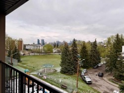 302-2508 17 Street SW Calgary, AB T2T 4M8