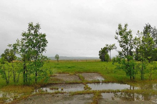 17 Anson Road North, Rural Willow Creek No. 26, M.D. Of, AB 