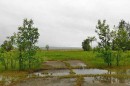 17 Anson Road North, Rural Willow Creek No. 26, M.D. Of, AB 
