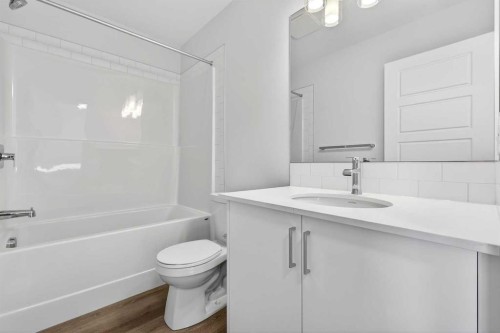 609-132 Red Embers Link Ne, Calgary, AB - Indoor Photo Showing Bathroom