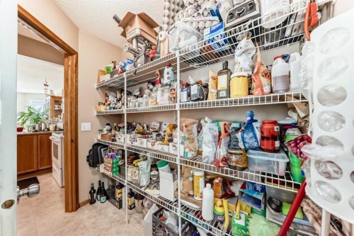 203 West Lakeview Circle, Chestermere, AB - Indoor With Storage