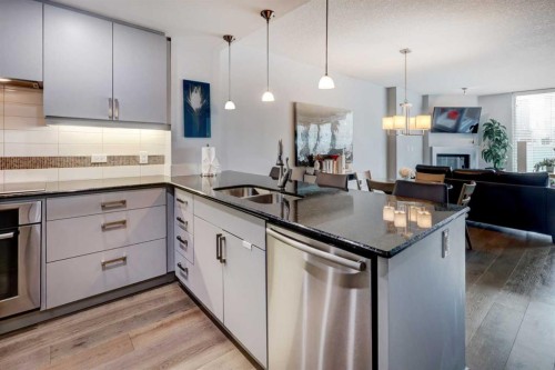 1406-888 4 Avenue Sw, Calgary, AB - Indoor Photo Showing Kitchen With Double Sink With Upgraded Kitchen