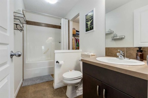 26 Auburn Bay Common Se, Calgary, AB - Indoor Photo Showing Bathroom