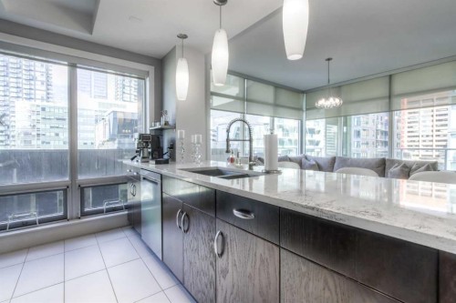 604-530 12 Avenue Sw, Calgary, AB - Indoor Photo Showing Kitchen With Upgraded Kitchen