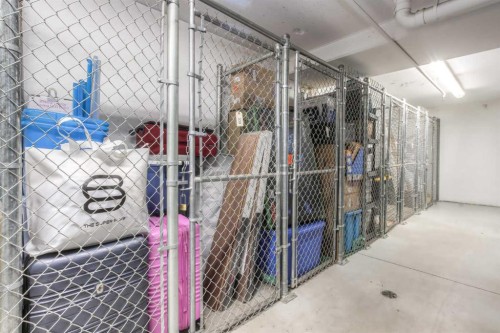604-530 12 Avenue Sw, Calgary, AB - Indoor With Storage