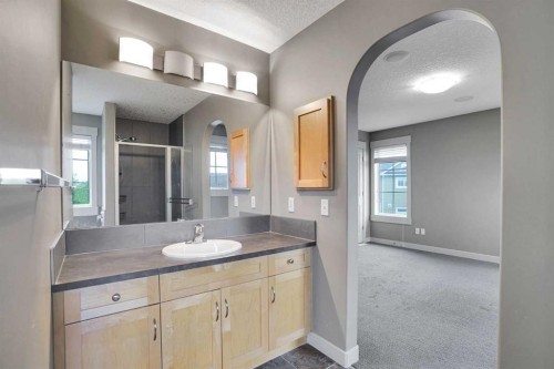 124 Lavender Link, Chestermere, AB - Indoor Photo Showing Bathroom