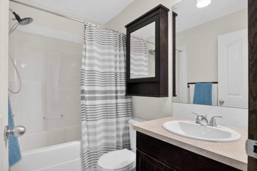 22 Autumn Green Se, Calgary, AB - Indoor Photo Showing Bathroom