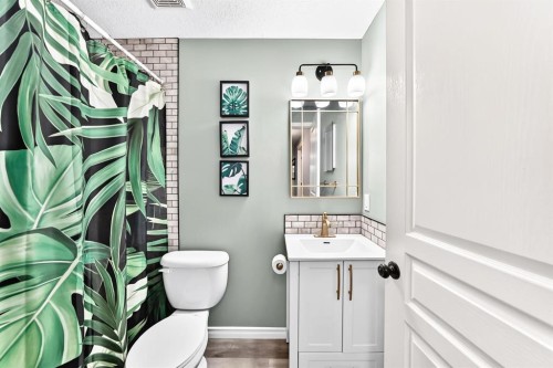 116 Kingsland Court Se, Airdrie, AB - Indoor Photo Showing Bathroom