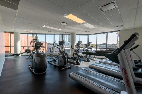 809-225 11 Avenue Se, Calgary, AB 