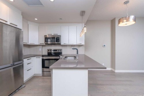 809-225 11 Avenue Se, Calgary, AB 