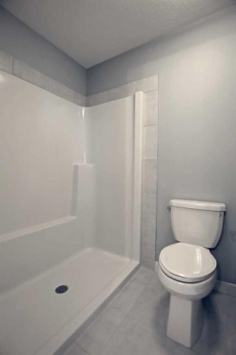 2085 Cobblespring Avenue Sw, Airdrie, AB - Indoor Photo Showing Bathroom