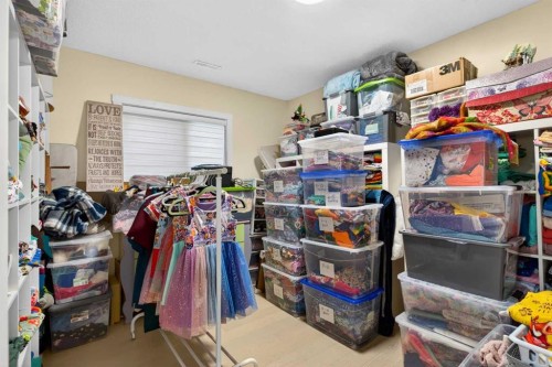 130 Harvest Park Circle Ne, Calgary, AB - Indoor With Storage