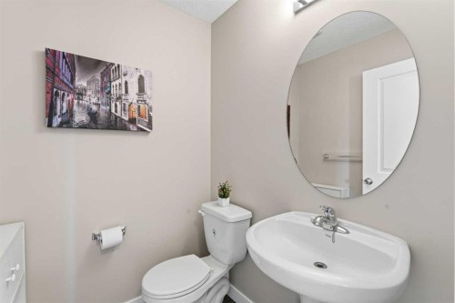 7 Skyview Ranch Lane Ne, Calgary, AB - Indoor Photo Showing Bathroom