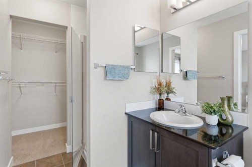 7 Skyview Ranch Lane Ne, Calgary, AB - Indoor Photo Showing Bathroom